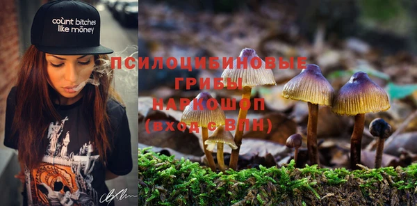 метадон Медвежьегорск