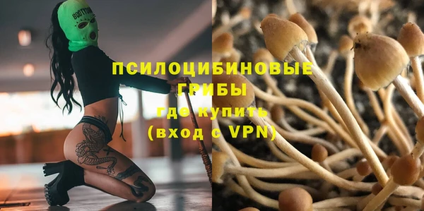 метадон Медвежьегорск